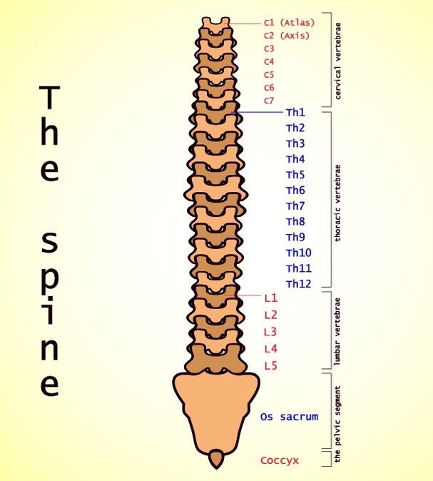 Lumbale Osteochondrose